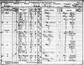 Image of the 1891 census