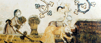 Harvesting